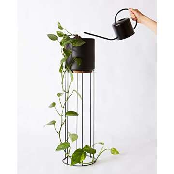 Indoor Watering Can - Matte Black Metal - 44oz or 1.3L - Long Spout for Easy Houseplant Watering
