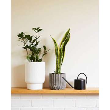 Indoor Watering Can - Matte Black Metal - 44oz or 1.3L - Long Spout for Easy Houseplant Watering