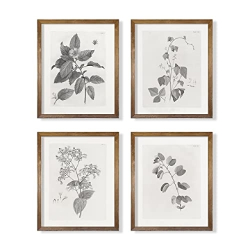 Vintage Farmhouse Botanical Wall Art - Neutral Plant Leaf Sketch - Perfect for Home Decor