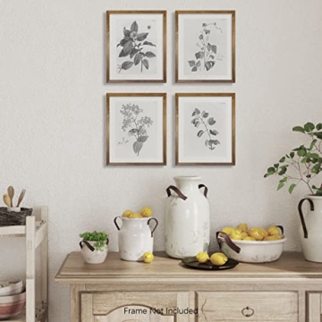 Vintage Farmhouse Botanical Wall Art for Beautiful Spaces