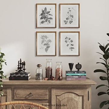 Vintage Farmhouse Botanical Wall Art for Beautiful Spaces
