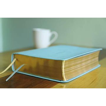 The Jesus Bible NIV Edition Teal Leathersoft Comfort Print