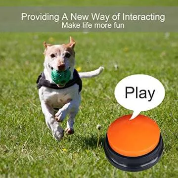 4 Color Voice Recording Button for Pet Communication and Fun