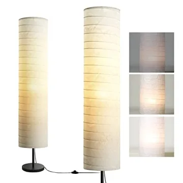 Modern Dimmable Floor Lamp with Adjustable Brightness