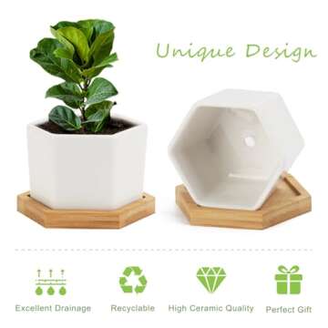 OAMCEG 4 Inch Succulent Pots - Small Succulent Planters, 4 Pack White Ceramic Succulent Cactus Plant Pots with Bamboo Tray(Plants NOT Included)