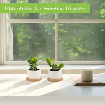 OAMCEG 4 Inch Succulent Pots - Small Succulent Planters, 4 Pack White Ceramic Succulent Cactus Plant Pots with Bamboo Tray(Plants NOT Included)