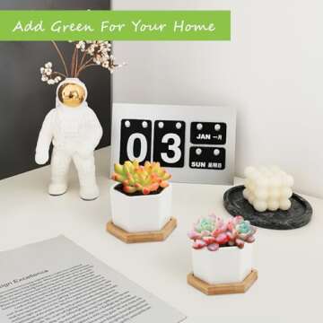 OAMCEG 4 Inch Succulent Pots - Small Succulent Planters, 4 Pack White Ceramic Succulent Cactus Plant Pots with Bamboo Tray(Plants NOT Included)