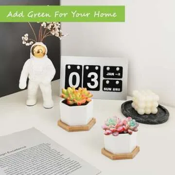 OAMCEG 4 Inch Succulent Pots - Small Succulent Planters, 4 Pack White Ceramic Succulent Cactus Plant Pots with Bamboo Tray(Plants NOT Included)