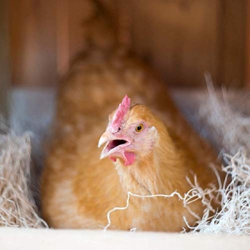 Excelsior Nest Box Pads for Chickens - Eco-Friendly Liner 12 Pack