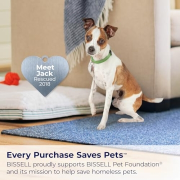 BISSELL Little Green Max Portable Carpet Cleaner