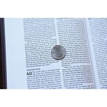 NIV, Value Thinline Bible, Leathersoft, Brown, Comfort Print