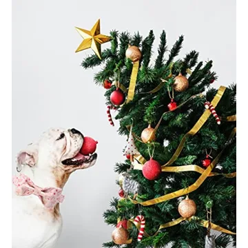 Unique Style Paws Dog Collar - Adjustable Bowtie for Dogs