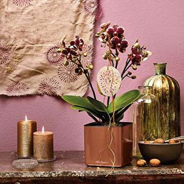 Lechuza Cube Glossy Self-Watering Planter - Scarlet Red 14"