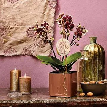 Lechuza Cube Glossy Self-Watering Planter - Scarlet Red 14"