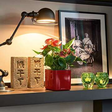 Lechuza Cube Glossy Self-Watering Planter - Scarlet Red 14"