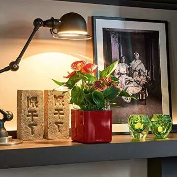 Lechuza Cube Glossy Self-Watering Planter - Scarlet Red 14"