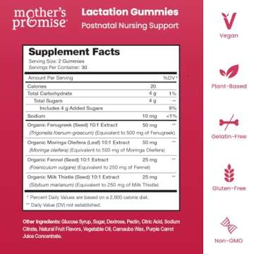 Mother's Promise Lactation Supplement Gummies for Increasing Breast Milk Production | Organic Nursin...
