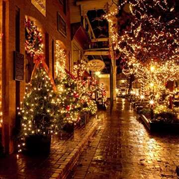 FUNPENY 164FT LED Christmas String Lights for Events