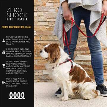 EzyDog Zero Shock Lite Bungee Dog Leash for Small Dogs - Perfect for Dogs 26 lbs or Less - Shock Abs...