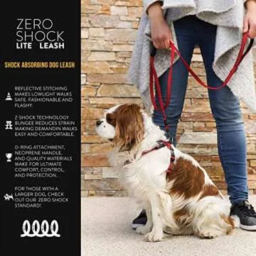 EzyDog Zero Shock Lite Bungee Dog Leash for Small Dogs - Perfect for Dogs 26 lbs or Less - Shock Abs...