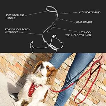 EzyDog Zero Shock Lite Bungee Dog Leash for Small Dogs - Perfect for Dogs 26 lbs or Less - Shock Absorbing Design for Superior Comfort and Control - Reflective for Nighttime Safety (72". Black)