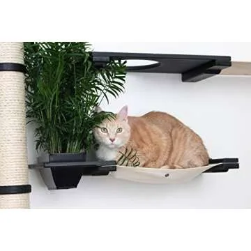 CatastrophiCreations Gardens Set for Cats - Wall-Mounted Fun