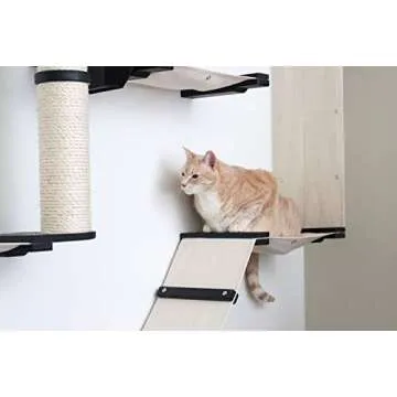 CatastrophiCreations Gardens Set for Cats - Wall-Mounted Fun