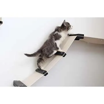 CatastrophiCreations Gardens Set for Cats - Wall-Mounted Fun