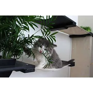 CatastrophiCreations Gardens Set for Cats - Wall-Mounted Fun