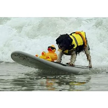 HAOCOO Dog Life Jacket Vest for Safe Swimming Fun