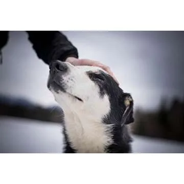 Mayday Emergency Dog Food for Active Lifestyle Dogs