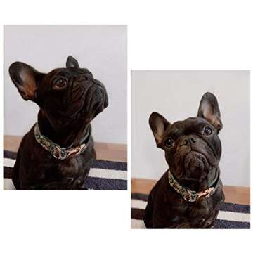 ARING PET Bowtie Dog Collar Adjustable Collars with Bow Tie for Dogs Small Medium Large