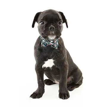 ARING PET Bowtie Dog Collar Adjustable Collars with Bow Tie for Dogs Small Medium Large