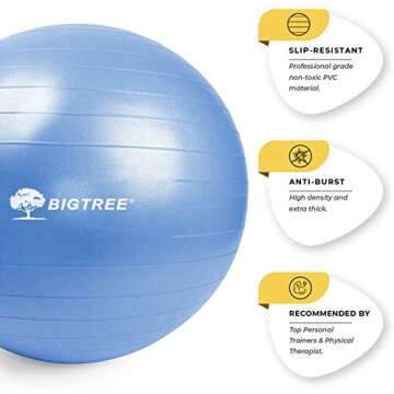 BIG.TREE Pilates Exercise Ball Anti-Burst Fitness Ball, Yoga Balance Ball for Workout, Birthing, Sta...