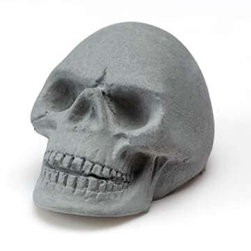 20PCS Skull Charcoal for Fireplaces & Halloween Decor
