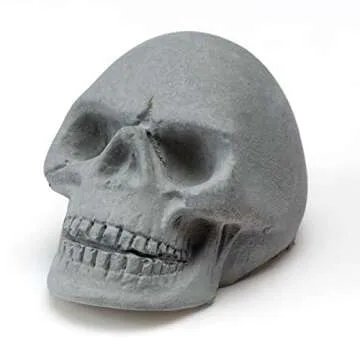 20PCS Skull Charcoal for Fireplaces & Halloween Decor