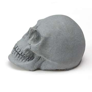 20PCS Skull Charcoal for Fireplaces & Halloween Decor
