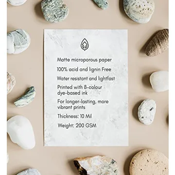 Second Sun Collection Timeless Persona Mid Century Art Prints