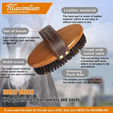 Shop MAXIMILIAN Handmade Horse Brush for Superior Grooming