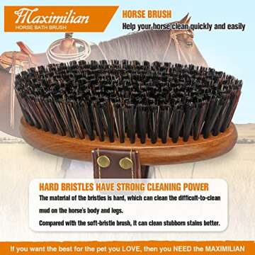 Shop MAXIMILIAN Handmade Horse Brush for Superior Grooming