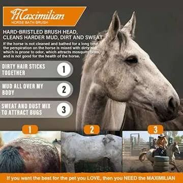 Shop MAXIMILIAN Handmade Horse Brush for Superior Grooming