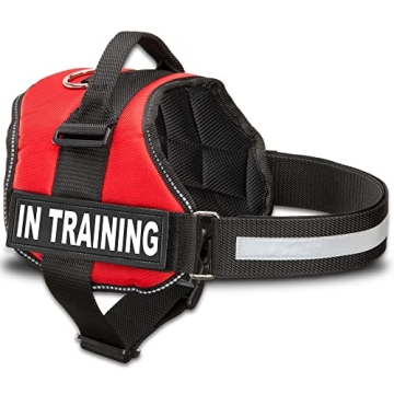 Durable Service Dog in Training Vest with Removable Patches and Reflective Bands