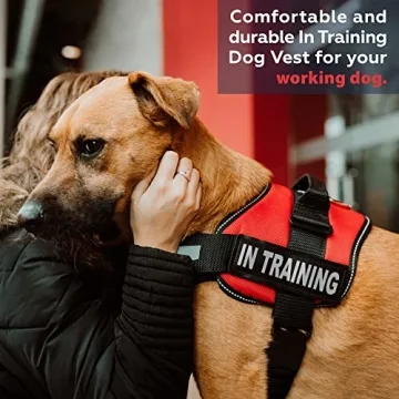 Heavy Duty Service Dog Training Vest with Reflective Straps