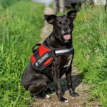 Heavy Duty Service Dog Training Vest with Reflective Straps