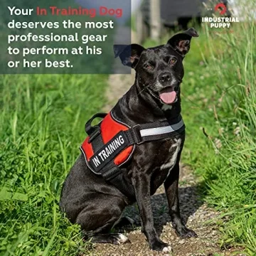 Heavy Duty Service Dog Training Vest with Reflective Straps