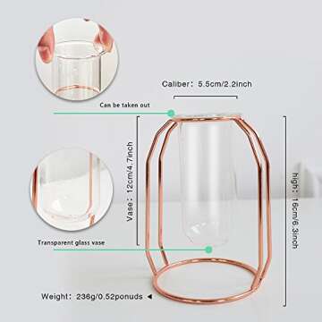 PuTwo Vases Set of 2 Metal Flower Vase Glass Vase Planter Terrariums Gold Vases Rose Gold Vase Plant Vase Glass Vases Cylinder Vase Vases for Decor Clear Vase Decorations for Living Room - Rose Gold