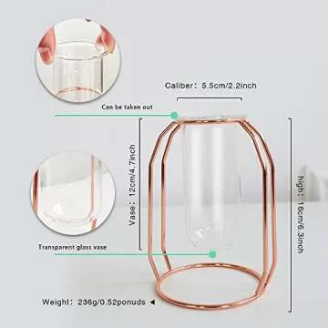 PuTwo Vases Set of 2 Metal Flower Vase Glass Vase Planter Terrariums Gold Vases Rose Gold Vase Plant Vase Glass Vases Cylinder Vase Vases for Decor Clear Vase Decorations for Living Room - Rose Gold