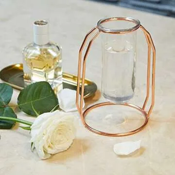 PuTwo Vases Set of 2 Metal Flower Vase Glass Vase Planter Terrariums Gold Vases Rose Gold Vase Plant Vase Glass Vases Cylinder Vase Vases for Decor Clear Vase Decorations for Living Room - Rose Gold