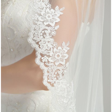 Elegant Lace Applique Edge Wedding Bridal Veil 41"