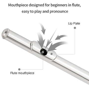 Aisiweier C Flute 16 Key Beginner Musical Instrument